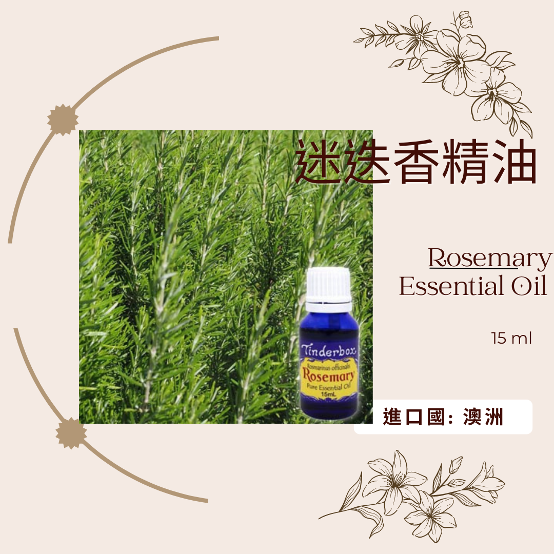 迷迭香精油 TINDERBOX 絕版品